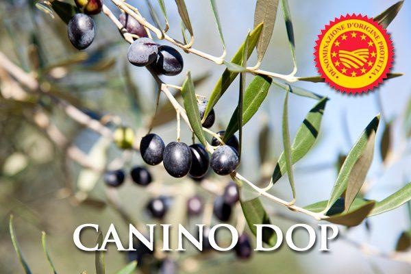 Produzioni DOP e IGP nella Tuscia, totalmente ignorate.