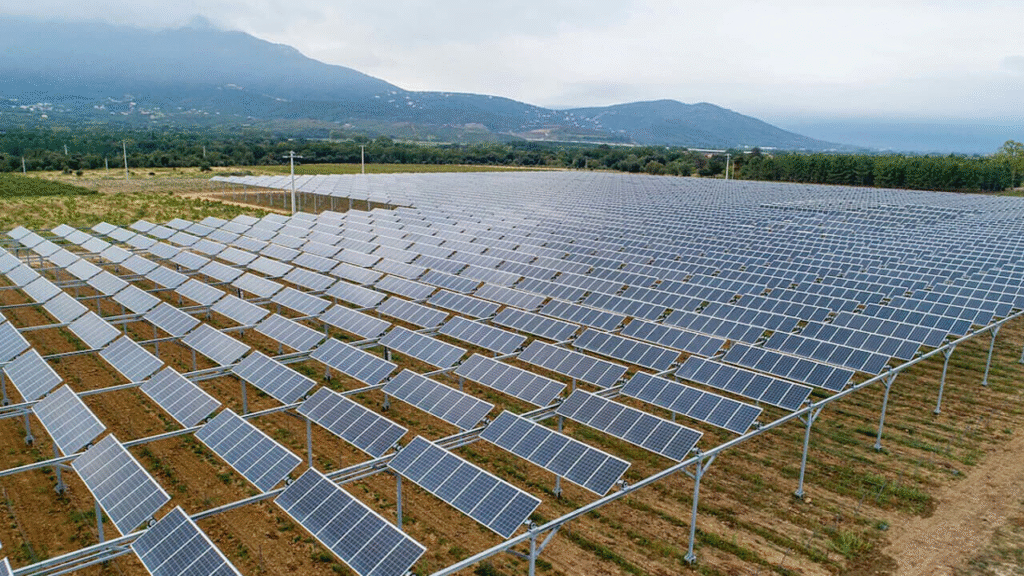 𝗜𝗹 𝗳𝗼𝘁𝗼𝘃𝗼𝗹𝘁𝗮𝗶𝗰𝗼 𝘀𝗲𝗹𝘃𝗮𝗴𝗴𝗶𝗼 𝗮 𝗠𝗼𝗻𝘁𝗮𝗹𝘁𝗼 𝗲 𝗣𝗲𝘀𝗰𝗶𝗮: 𝗼𝗹𝘁𝗿𝗲 𝗶 𝗹𝗶𝗺𝗶𝘁𝗶 𝗽𝗹𝗮𝗻𝗲𝘁𝗮𝗿𝗶, 𝗰𝗼𝗻𝘁𝗿𝗼 𝗹𝗮 𝘁𝗲𝗿𝗿𝗮 𝗲 𝗹𝗮 𝗴𝗶𝘂𝘀𝘁𝗶𝘇𝗶𝗮 𝗮𝗺𝗯𝗶𝗲𝗻𝘁𝗮𝗹𝗲